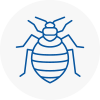 Bed Bug Extermination In Blyth