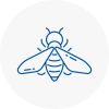 Bee Nest Removal Blyth