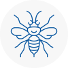 Blyth Hornet Nest Removals