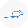 Mice Exterminators In Blyth
