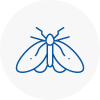 Moth Control Specialists In Blyth