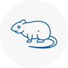 Rat Control Blyth