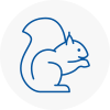 Blyth Rodent Removals