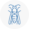 Blyth Wasp Nest Removal